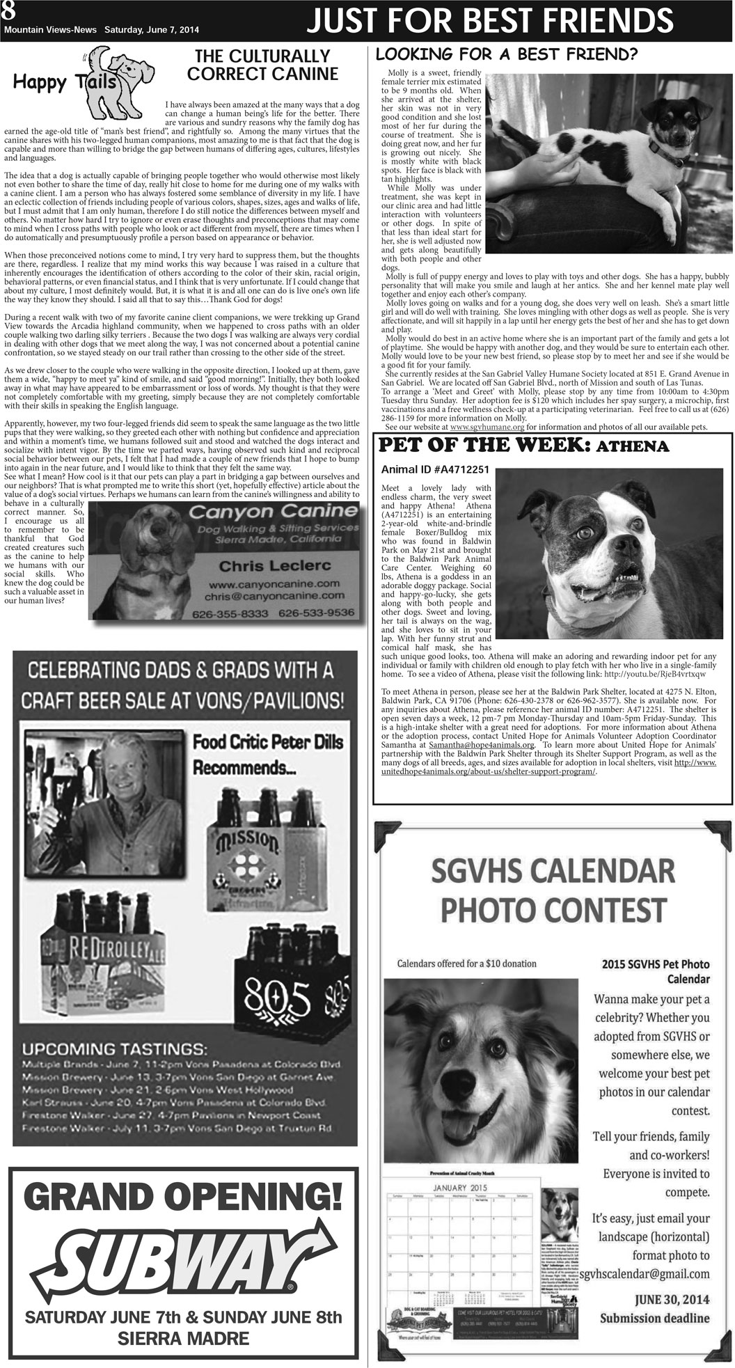 MVNews this week:  Page A:8