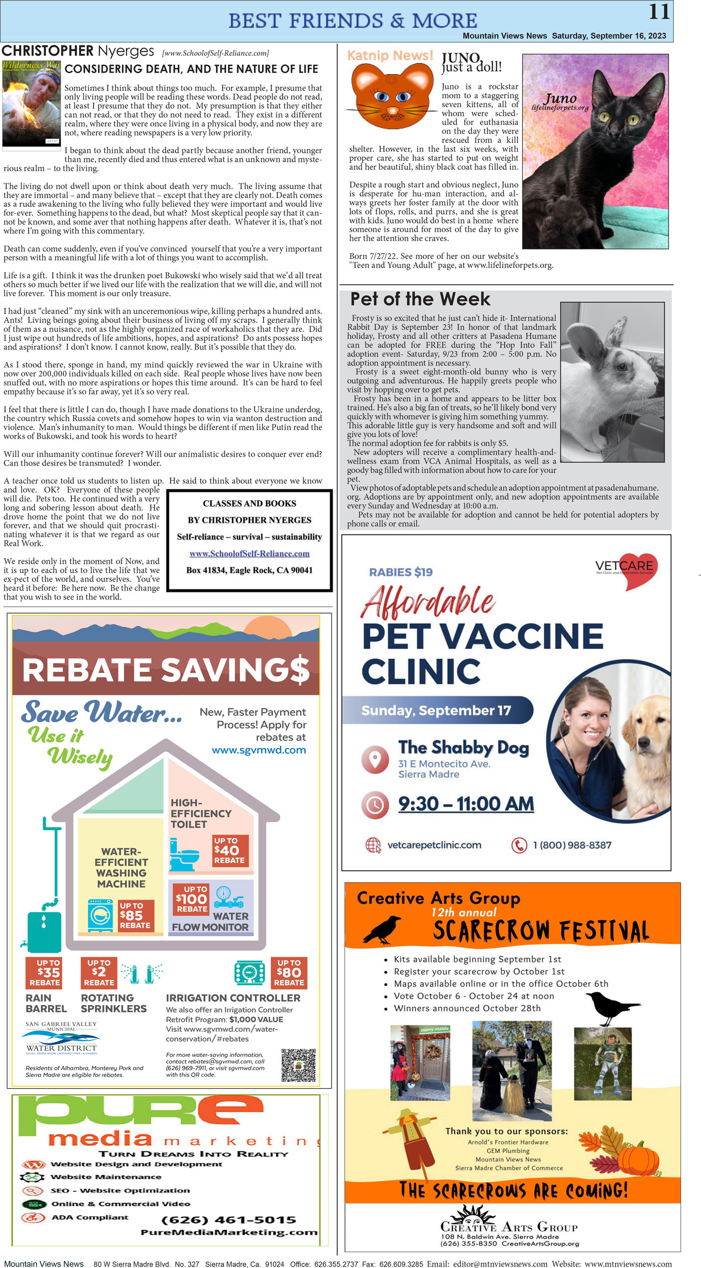 MVNews this week:  Page 11