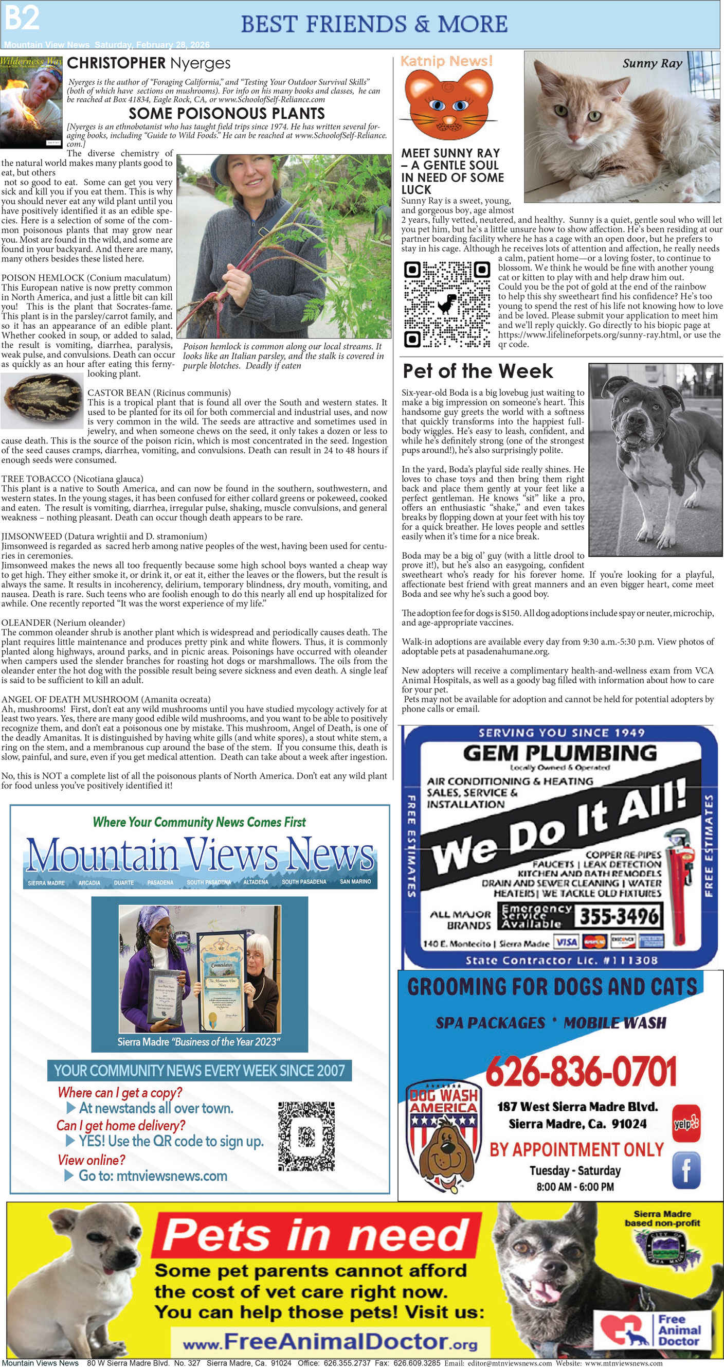MVNews this week:  Page 12