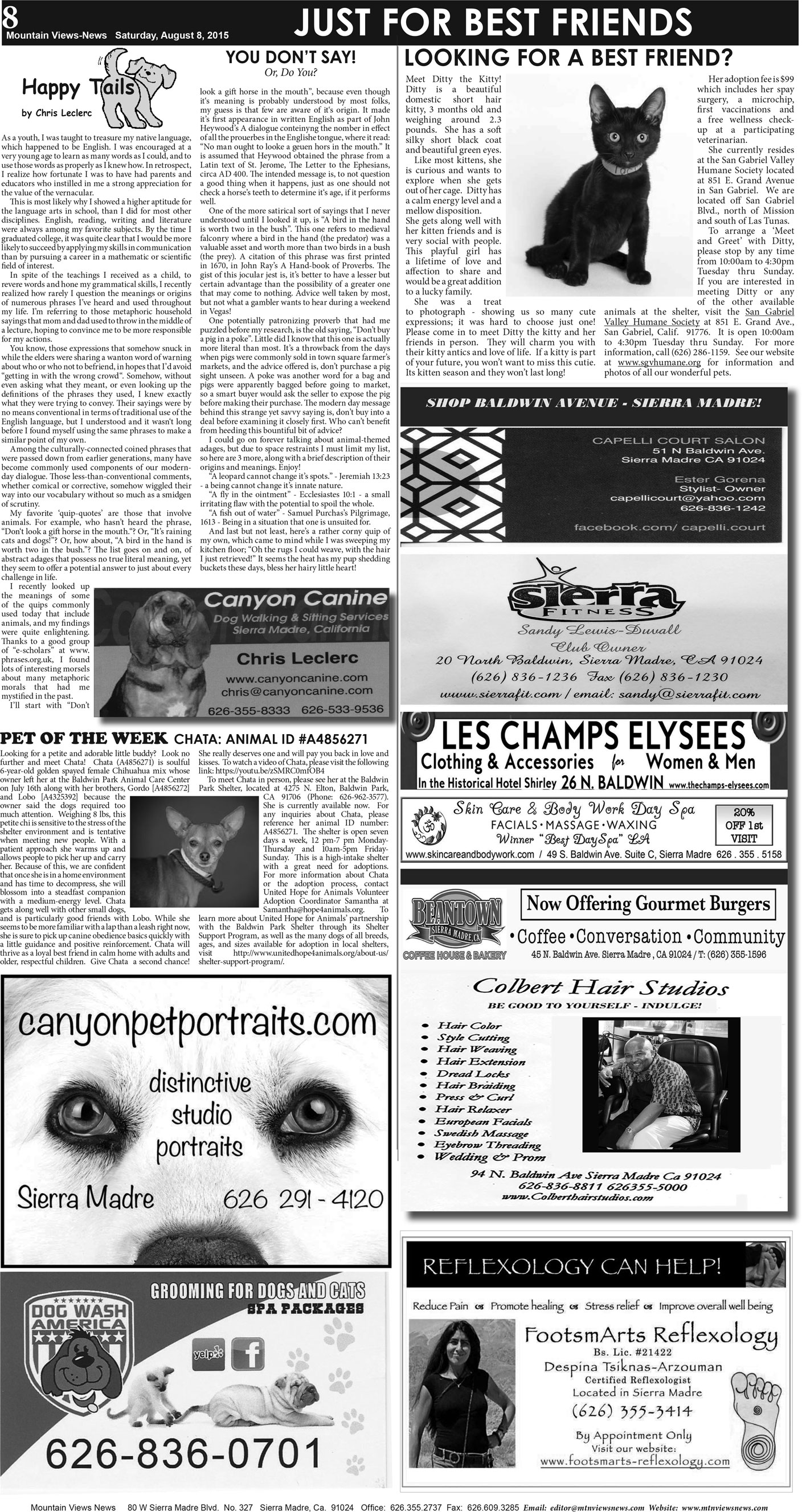 MVNews this week:  Page 8